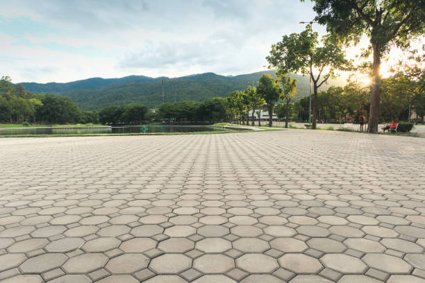 Best Residential Driveway Paver Services  in North Barrington, IL